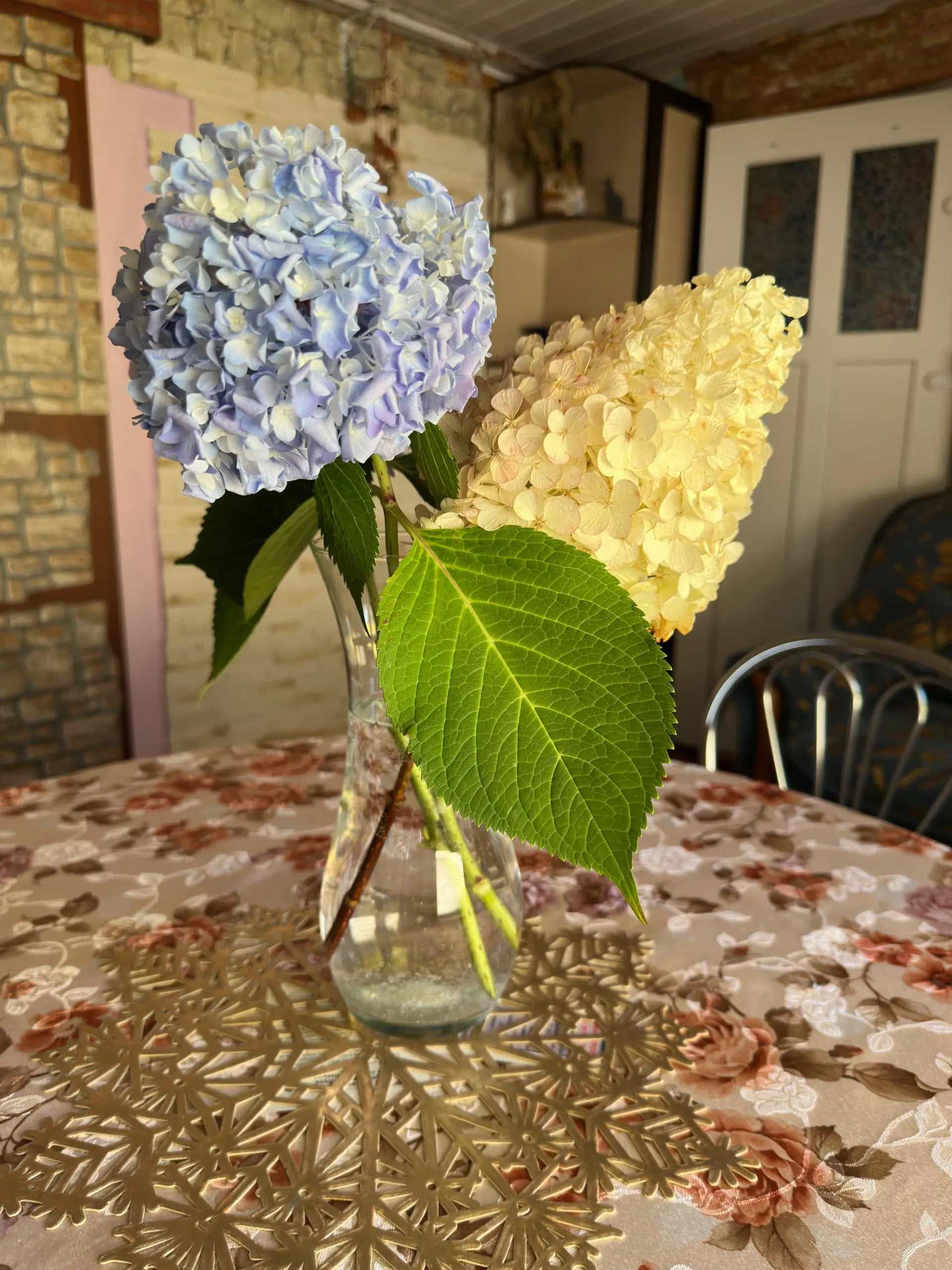 Беларусь, Минский район, деревня Боровляны, Октябрьская улица, 37, фото 20