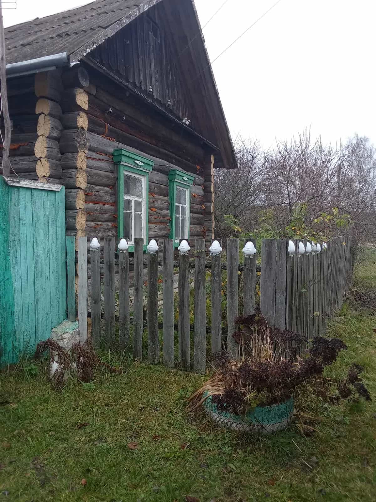 Беларусь, Гомельская область, Рогачёвский район, Старосельский сельсовет, деревня Гайдуковка, Полевая улица, 3, фото 2