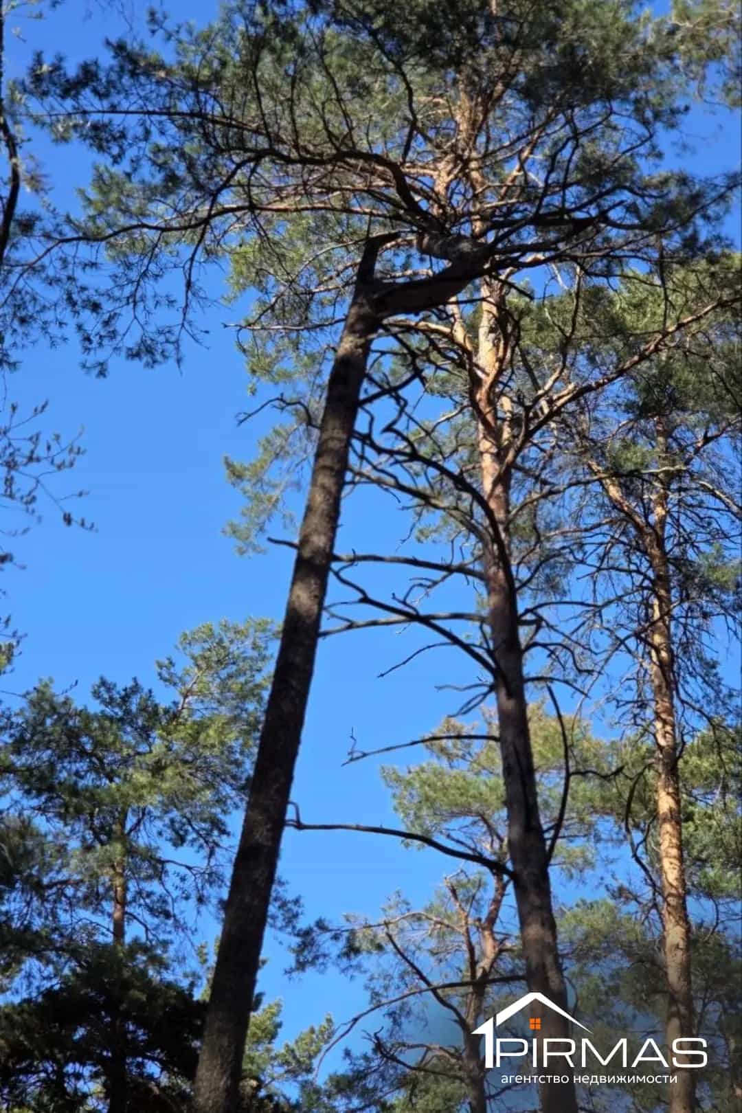 Беларусь, Минский район, городской посёлок Мачулищи, Дружная улица, 48, фото 16