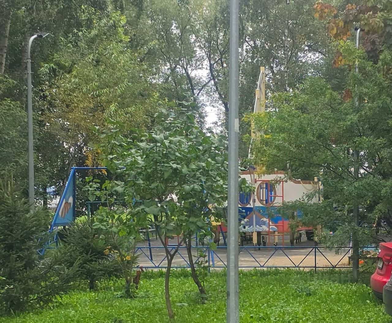 Россия, Московская область, Реутов, улица имени Головашкина, 8, фото 25