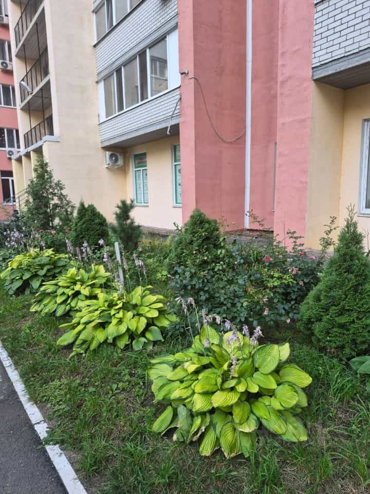 Россия, Саратов, Усть-Курдюмская улица, 21, фото 3
