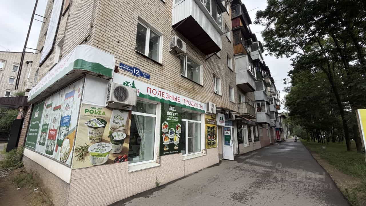 Россия, Еврейская автономная область, Биробиджан, улица Димитрова, 12, фото 23