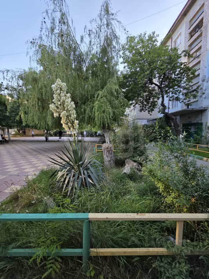 Россия, Республика Дагестан, Махачкала, проспект Имама Шамиля, 101А, фото 14