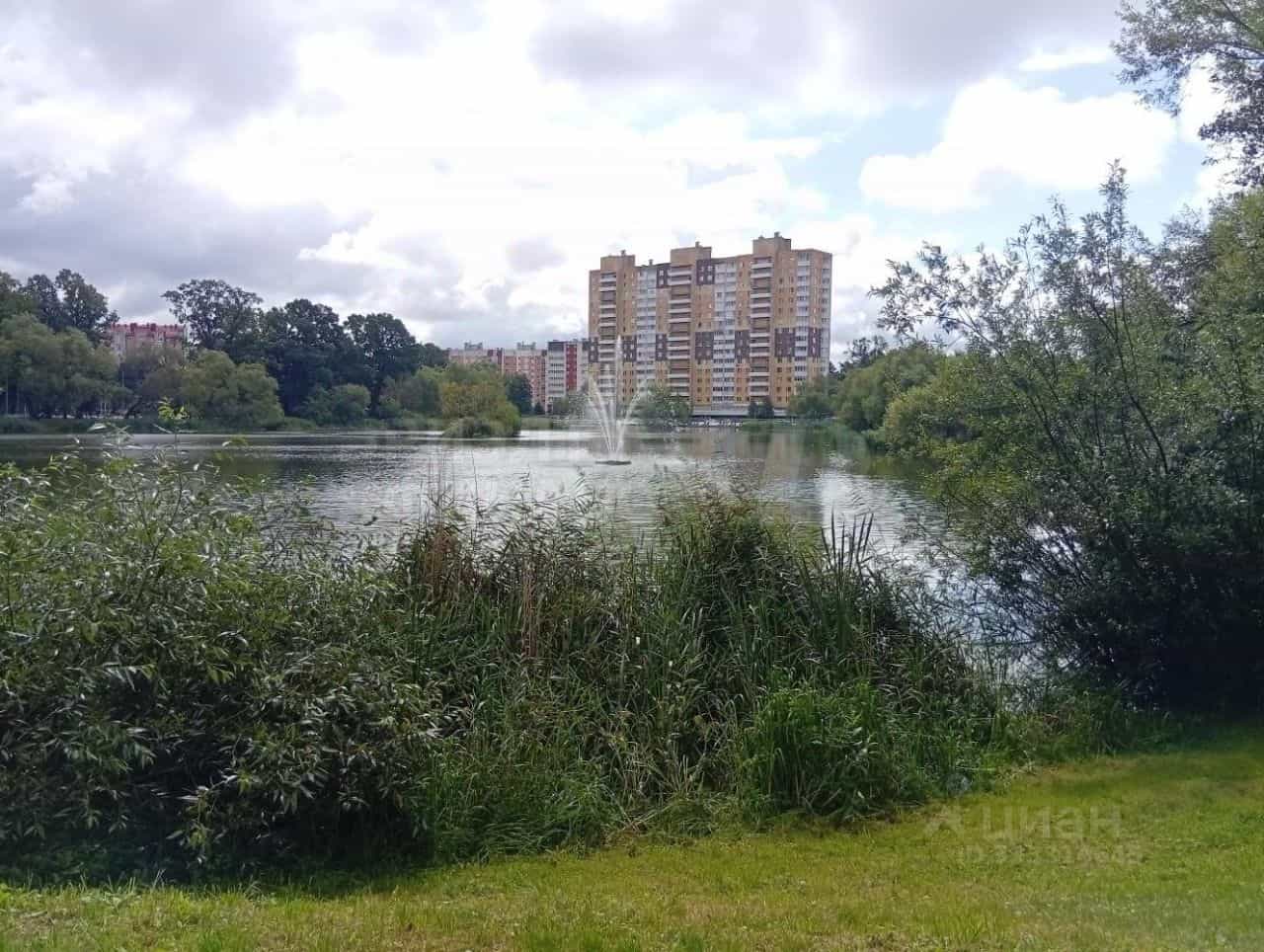 Россия, Калининград, Коммунистическая улица, 41А, фото 12