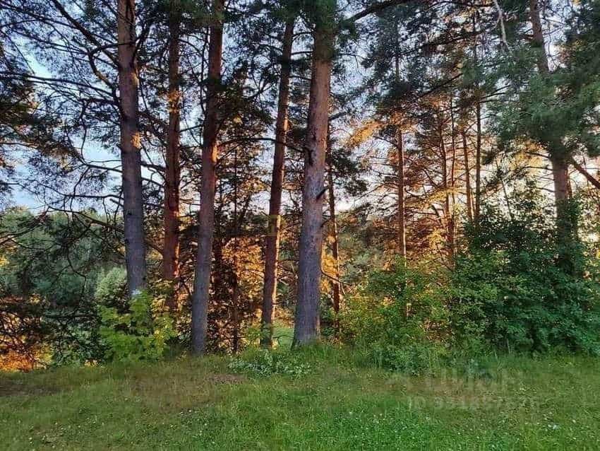 Россия, Ярославский муниципальный округ, посёлок пансионата Ярославль, Набережная улица, 46, фото 12