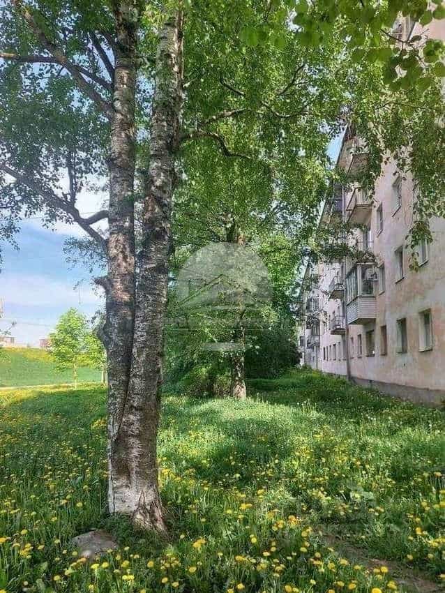 Россия, Великий Новгород, район Софийская сторона, улица Черняховского, 38, фото 16