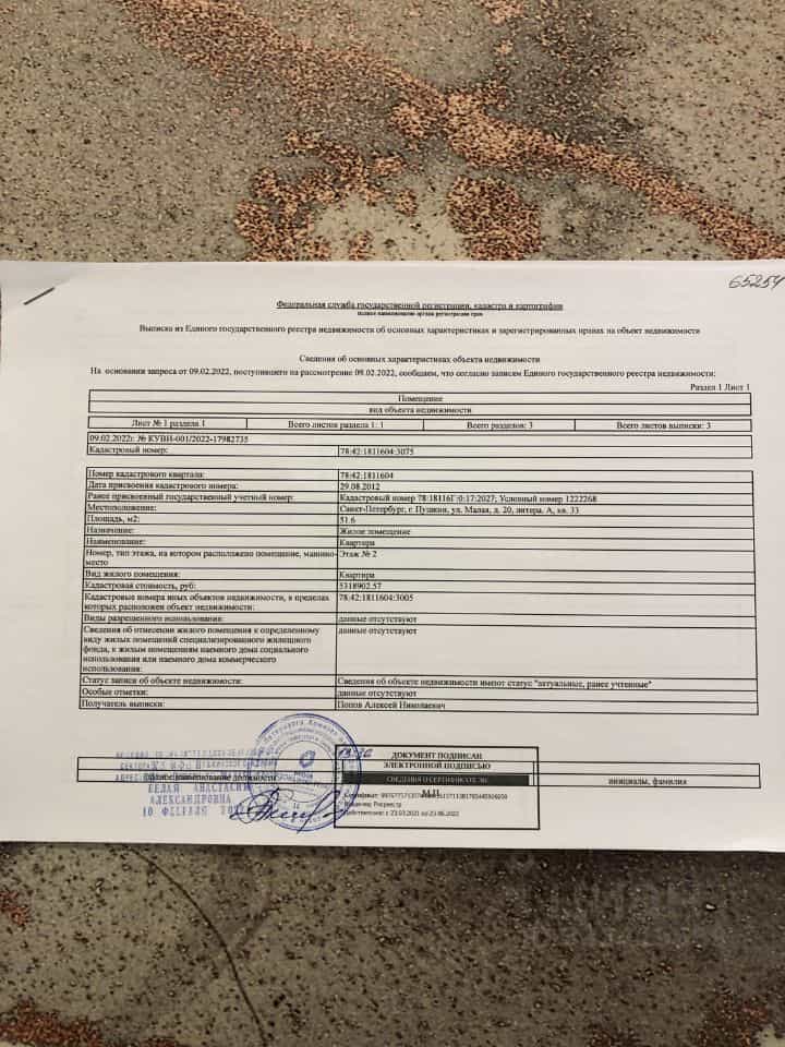 Россия, Санкт-Петербург, Пушкин, Малая улица, 20, фото 2