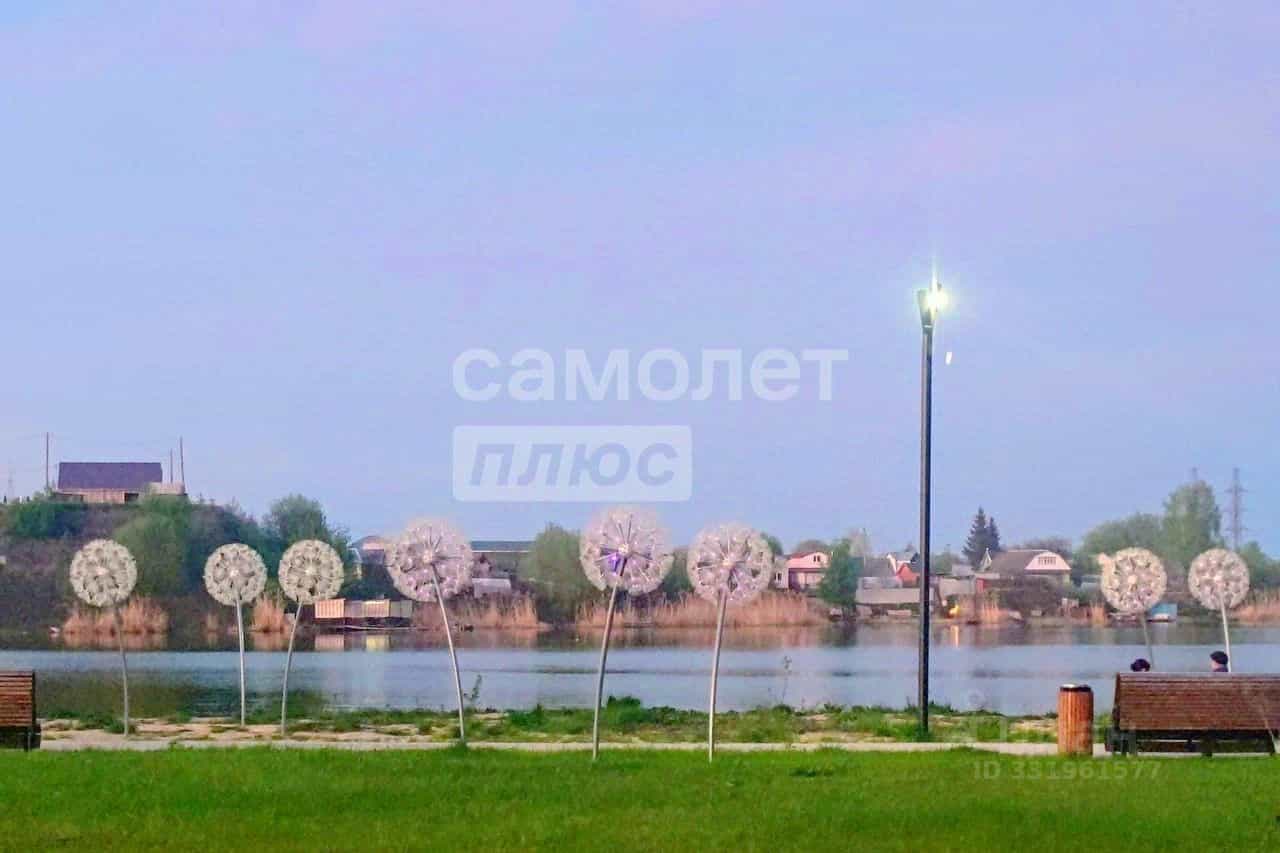 Россия, Рязанская область, Пронский муниципальный округ, Новомичуринск, проспект Смирягина, 15, фото 16
