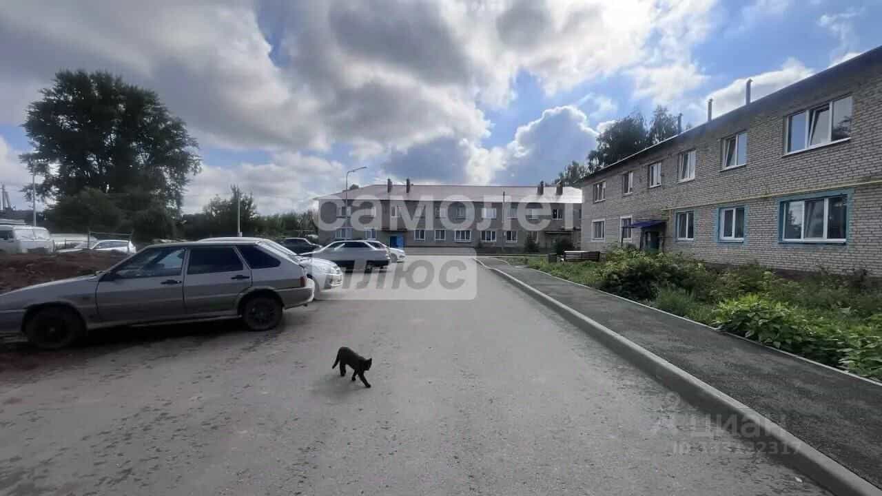 Россия, Республика Татарстан (Татарстан), Нижнекамский район, Афанасовское сельское поселение, село Большое Афанасово, Юбилейная улица, 20, фото 4