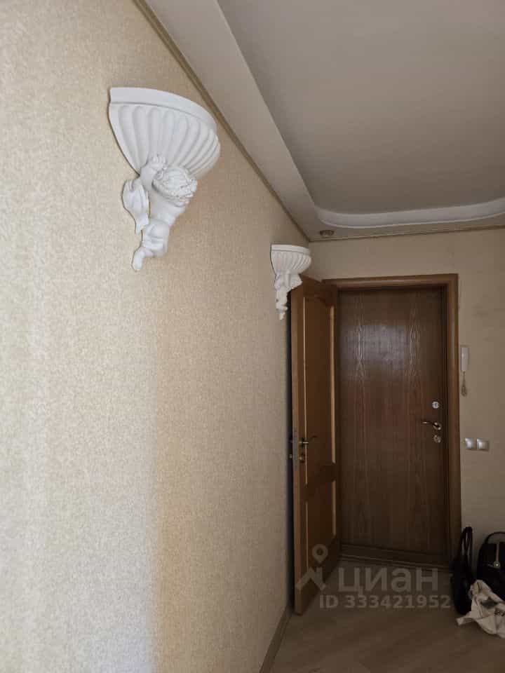 Россия, Санкт-Петербург, проспект Энтузиастов, 46к2, фото 10