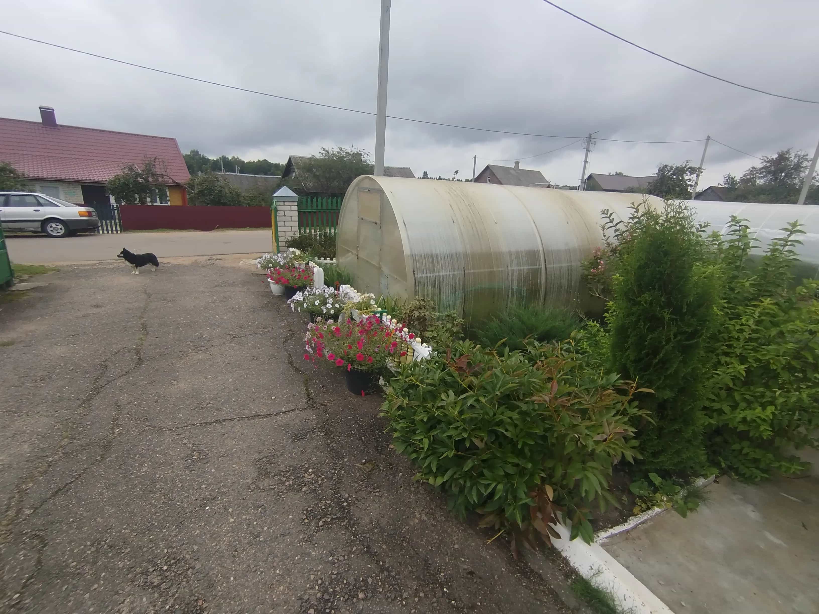 Беларусь, Гродненская область, городской посёлок Вороново, улица Победы, 11, фото 39
