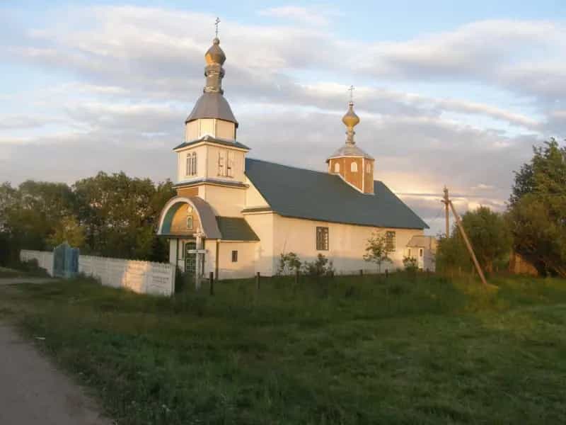 Беларусь, Минская область, Молодечненский район, Олехновичский сельсовет, деревня Дуброво, улица Дыбовского, 4, фото 8