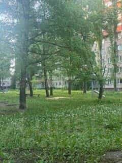 Россия, Липецк, Московская улица, 51, фото 16