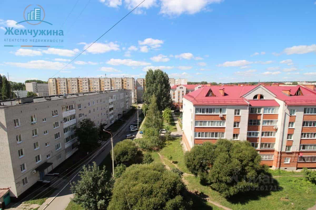 Россия, Ульяновская область, Димитровград, Московская улица, 32, фото 20