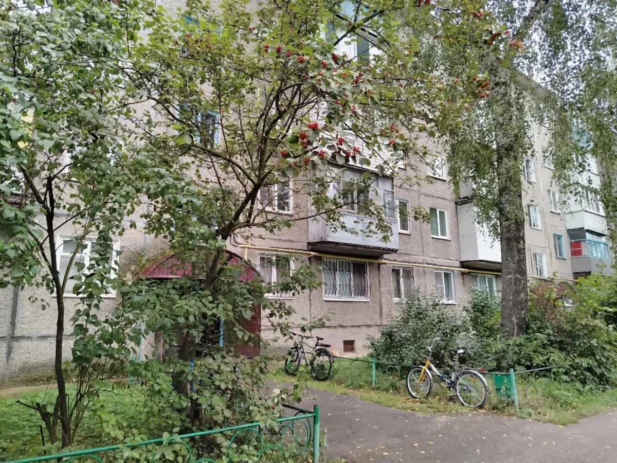 Россия, Нижегородская область, Городецкий муниципальный округ, Заволжье, проспект Дзержинского, 54
