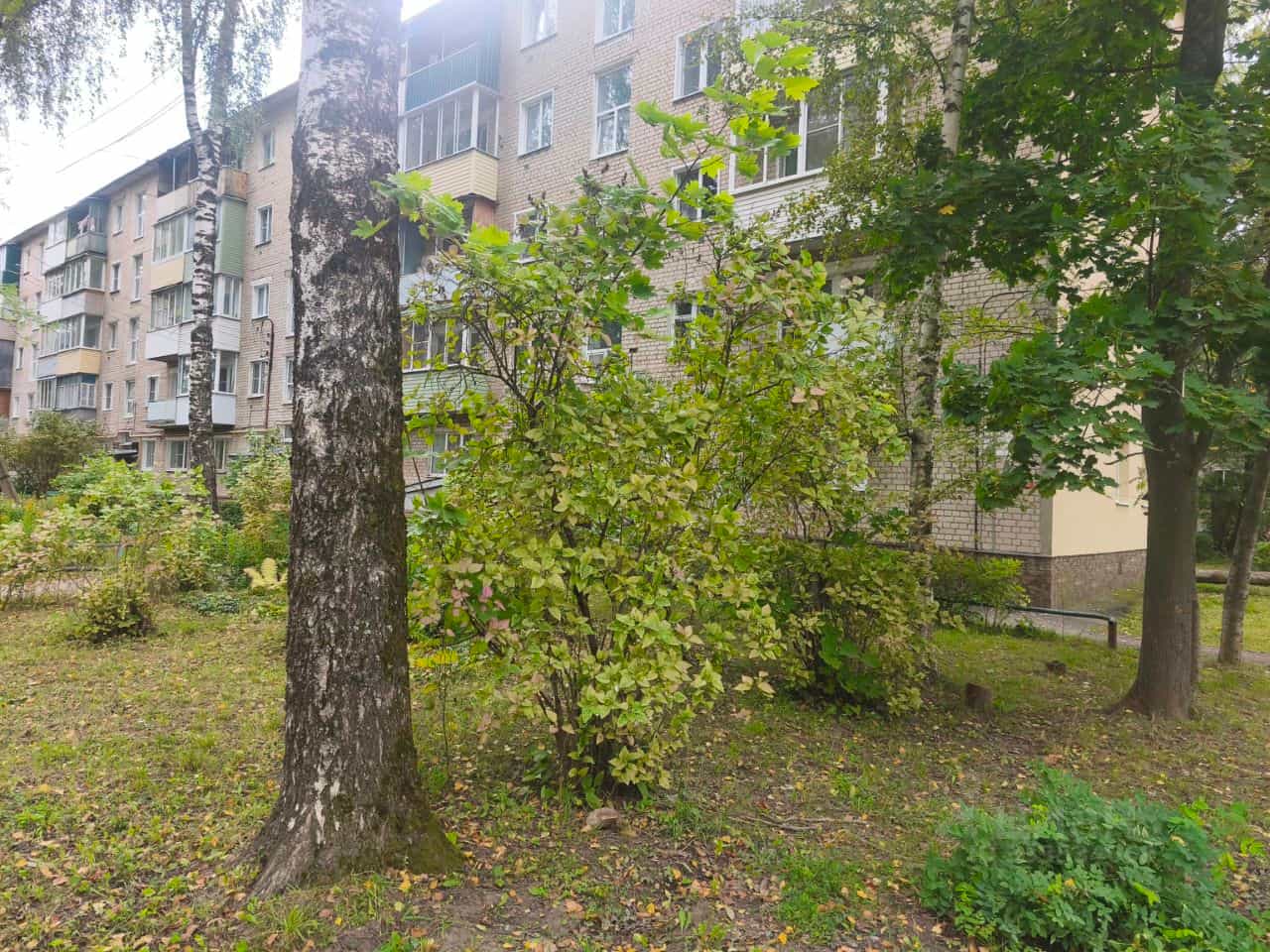 Россия, Ивановская область, Шуя, Кооперативная улица, 43, фото 4
