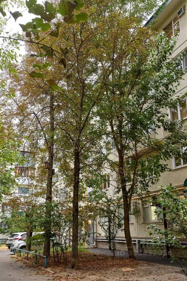 Россия, Краснодар, Западный внутригородской округ, Одесская улица, 33/4, фото 11