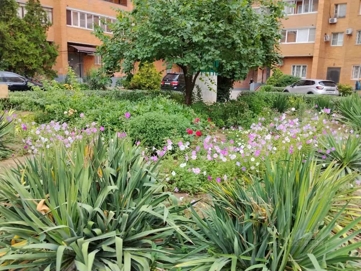 Россия, Волгоград, проспект Героев Сталинграда, 38, фото 17