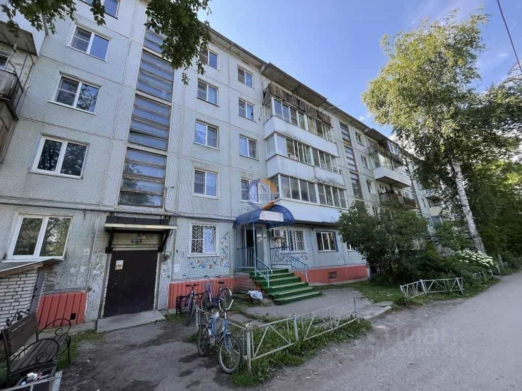 Россия, Новгородский муниципальный округ, Борковское сельское поселение, деревня Борки, Заверяжская улица, 5, фото 30