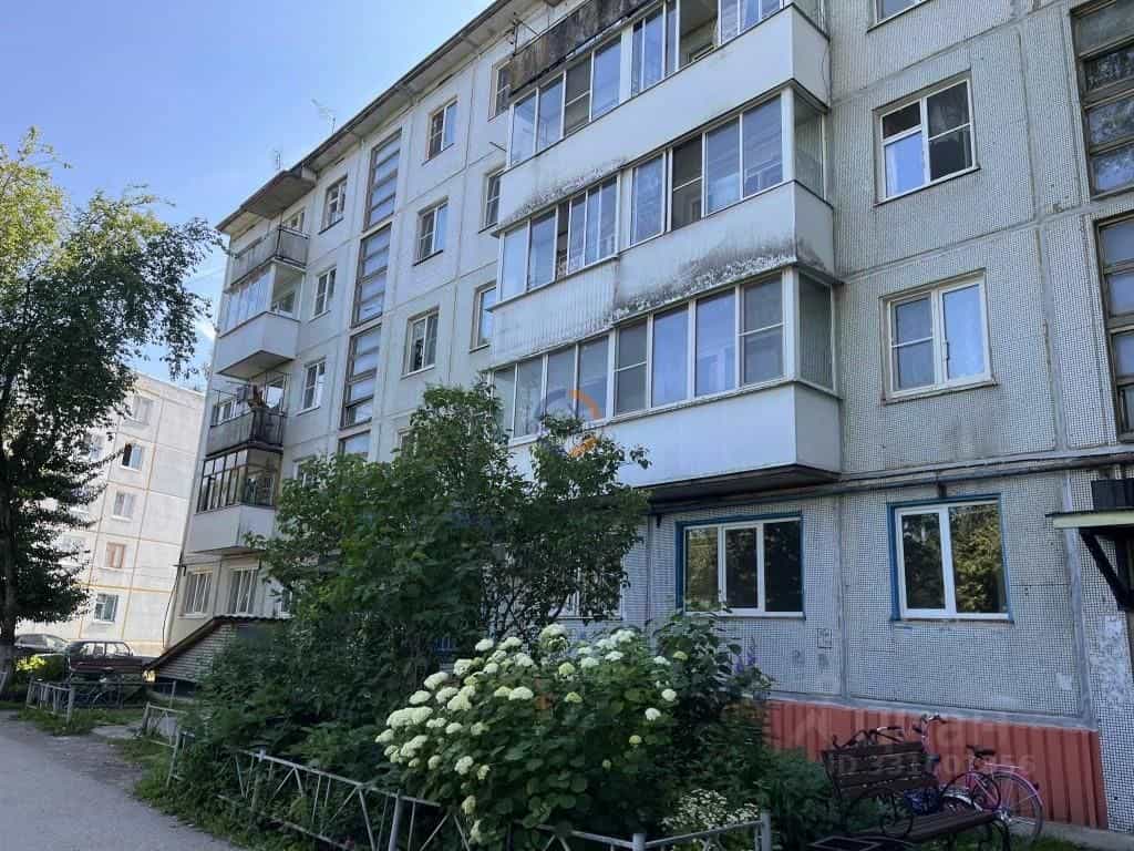 Россия, Новгородский муниципальный округ, Борковское сельское поселение, деревня Борки, Заверяжская улица, 5, фото 33