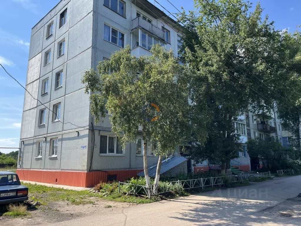 Россия, Новгородский муниципальный округ, Борковское сельское поселение, деревня Борки, Заверяжская улица, 5, фото 34