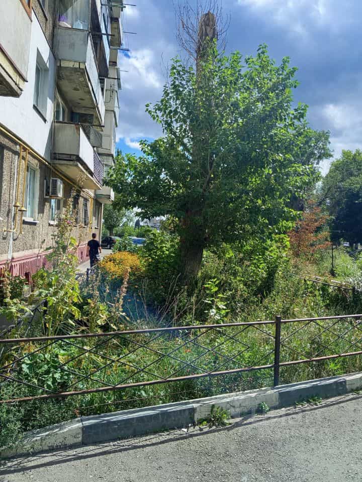 Россия, Саратов, Ново-Астраханское шоссе, 83