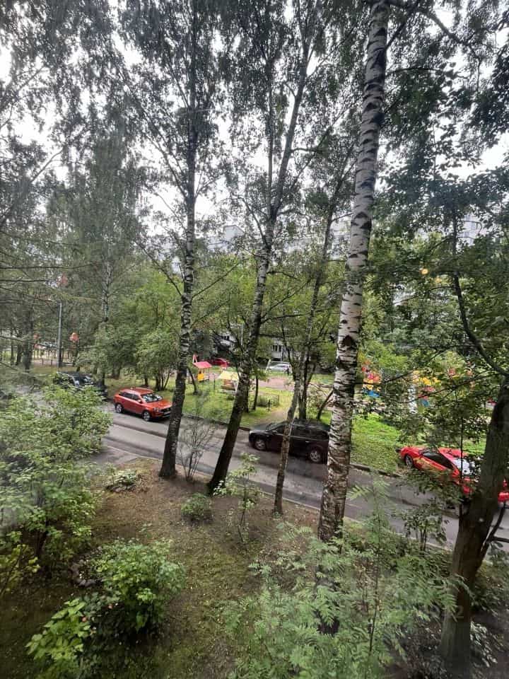 Россия, Санкт-Петербург, проспект Культуры, 7к2, фото 19