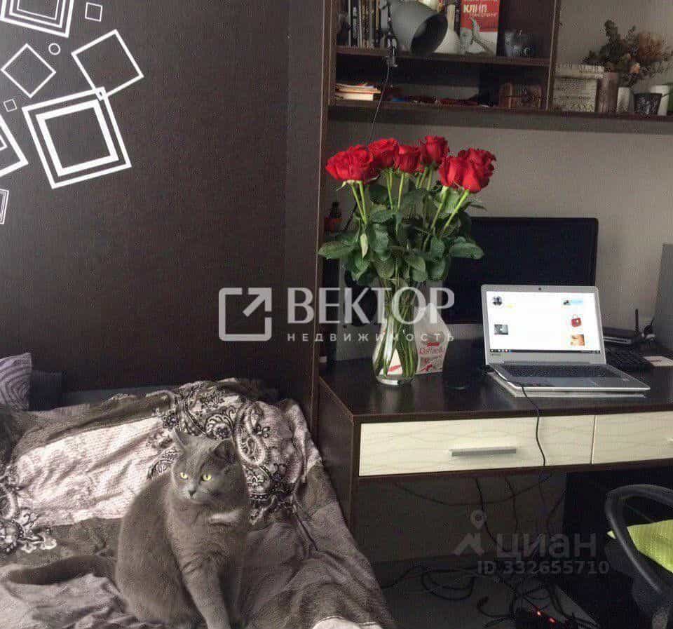 Россия, Иваново, микрорайон Новая Ильинка, 3, фото 12