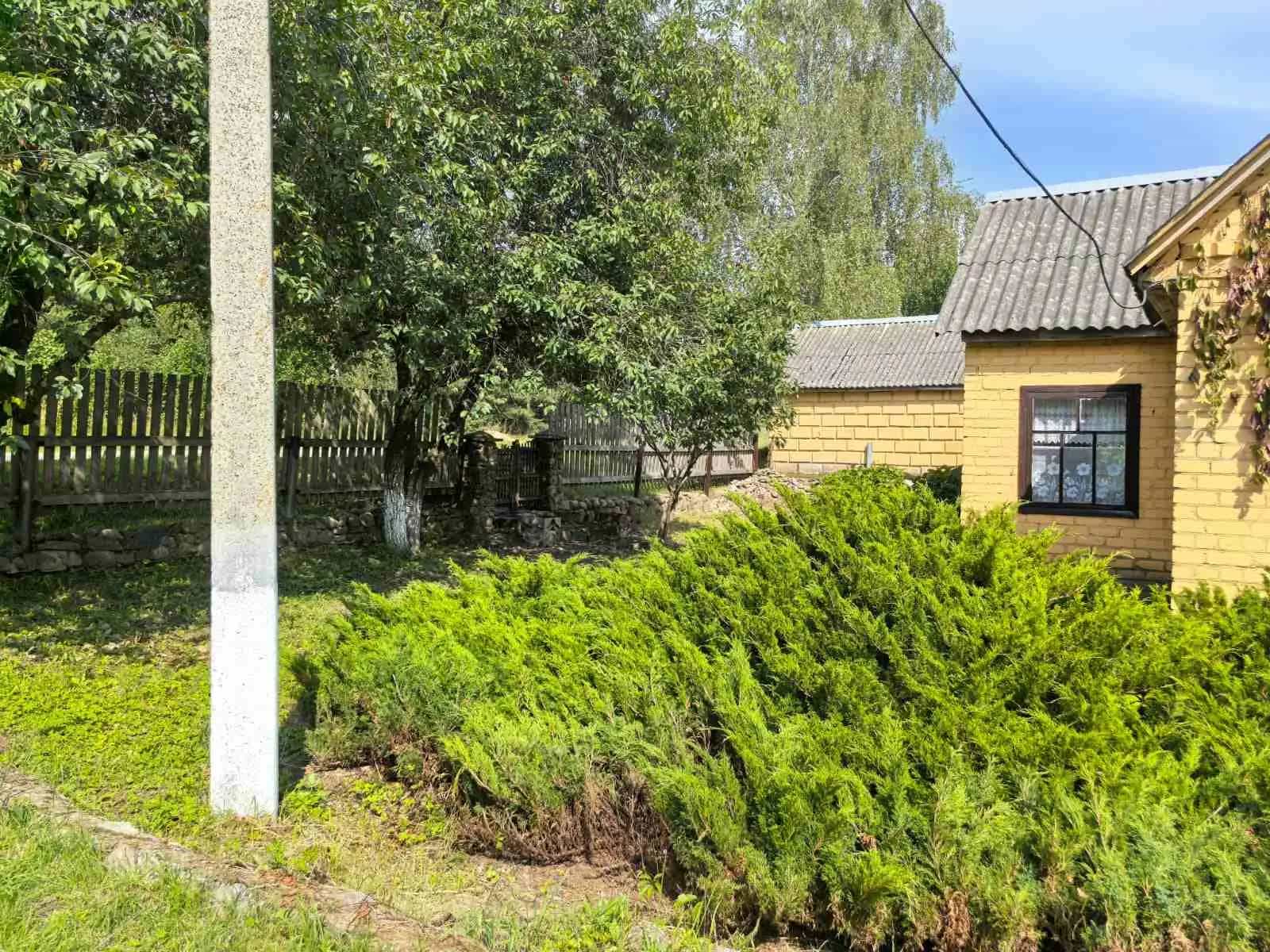 Беларусь, Гродненская область, Сморгонский район, Синьковский сельсовет, деревня Цари, 15А, фото 7