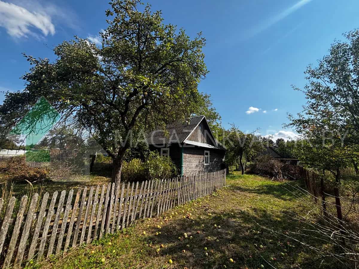 Беларусь, Брестская область, Жабинковский сельсовет, деревня Залузье, Центральная улица, 53, фото 4
