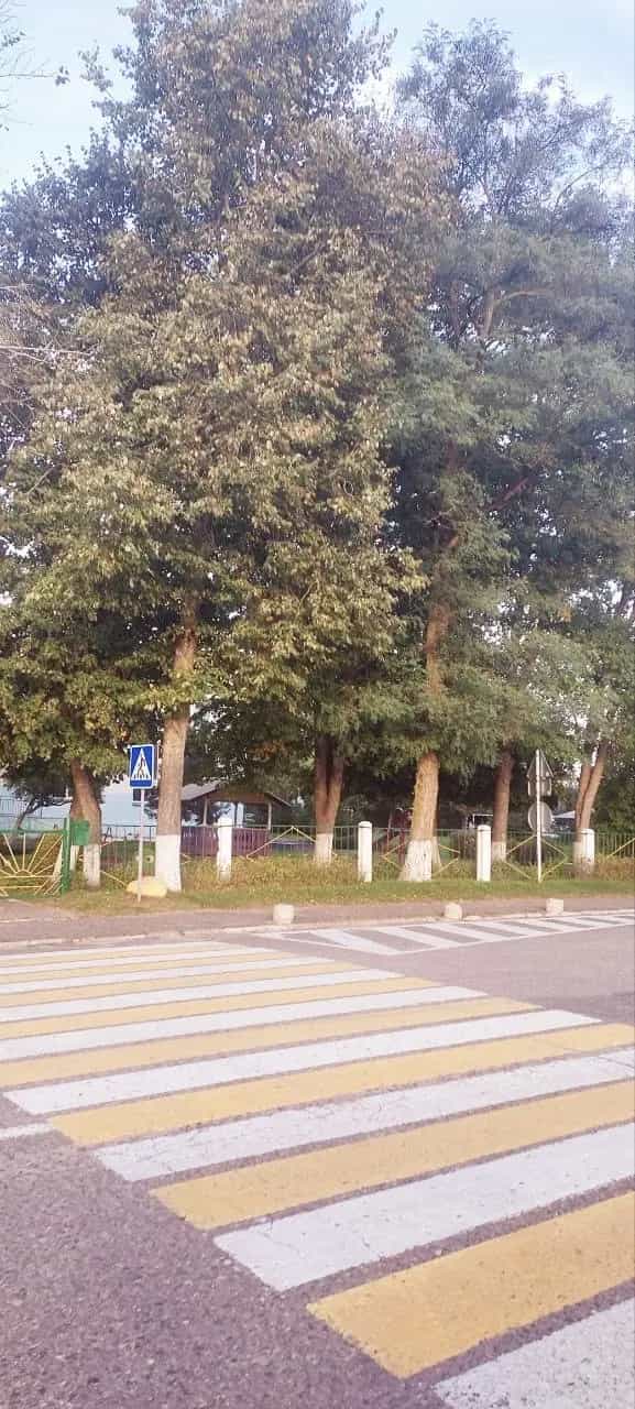 Беларусь, Витебский район, Октябрьский сельсовет, агрогородок Копти, улица М. Лынькова, 30, фото 17