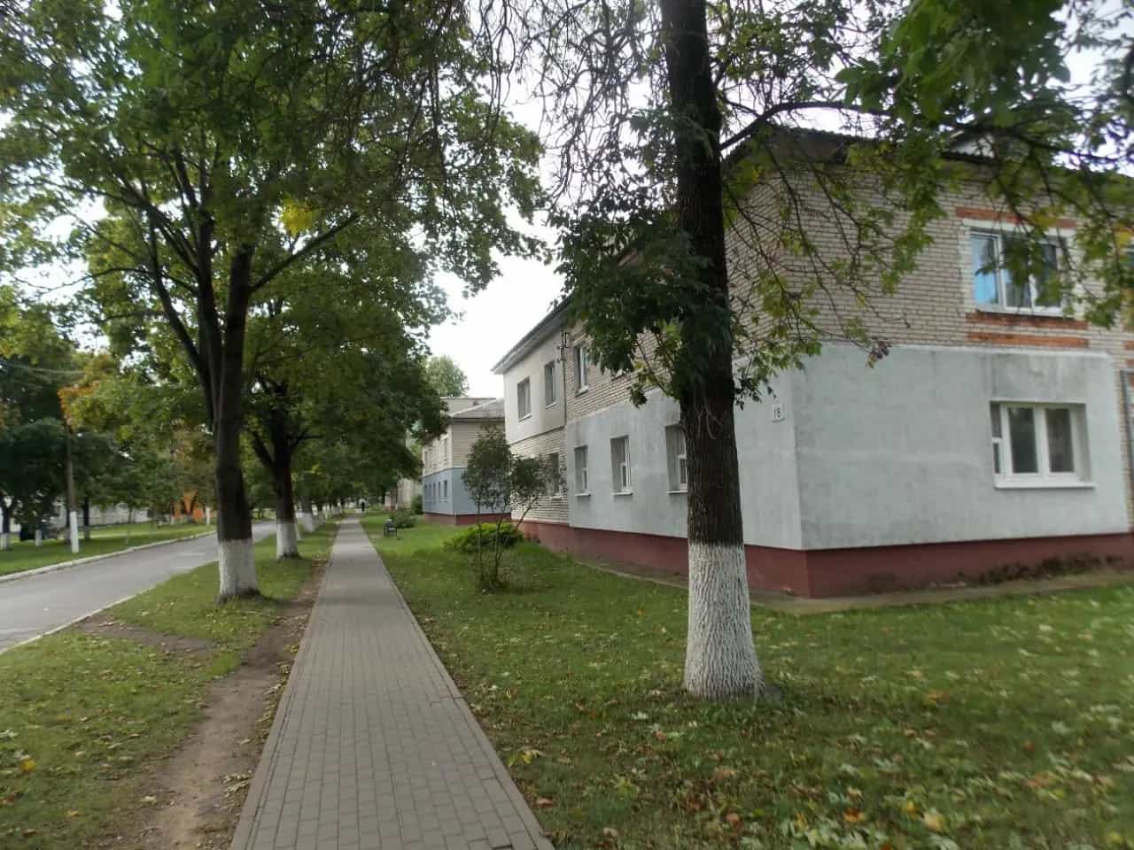 Беларусь, Минская область, Смолевичский район, Плисский сельсовет, посёлок Октябрьский, Центральная улица, 18, фото 4