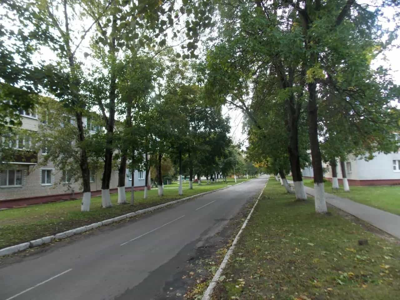 Беларусь, Минская область, Смолевичский район, Плисский сельсовет, посёлок Октябрьский, Центральная улица, 18, фото 5