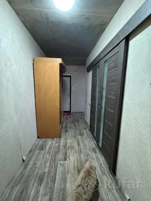Беларусь, Витебск, Ленинградская улица, 100, фото 5