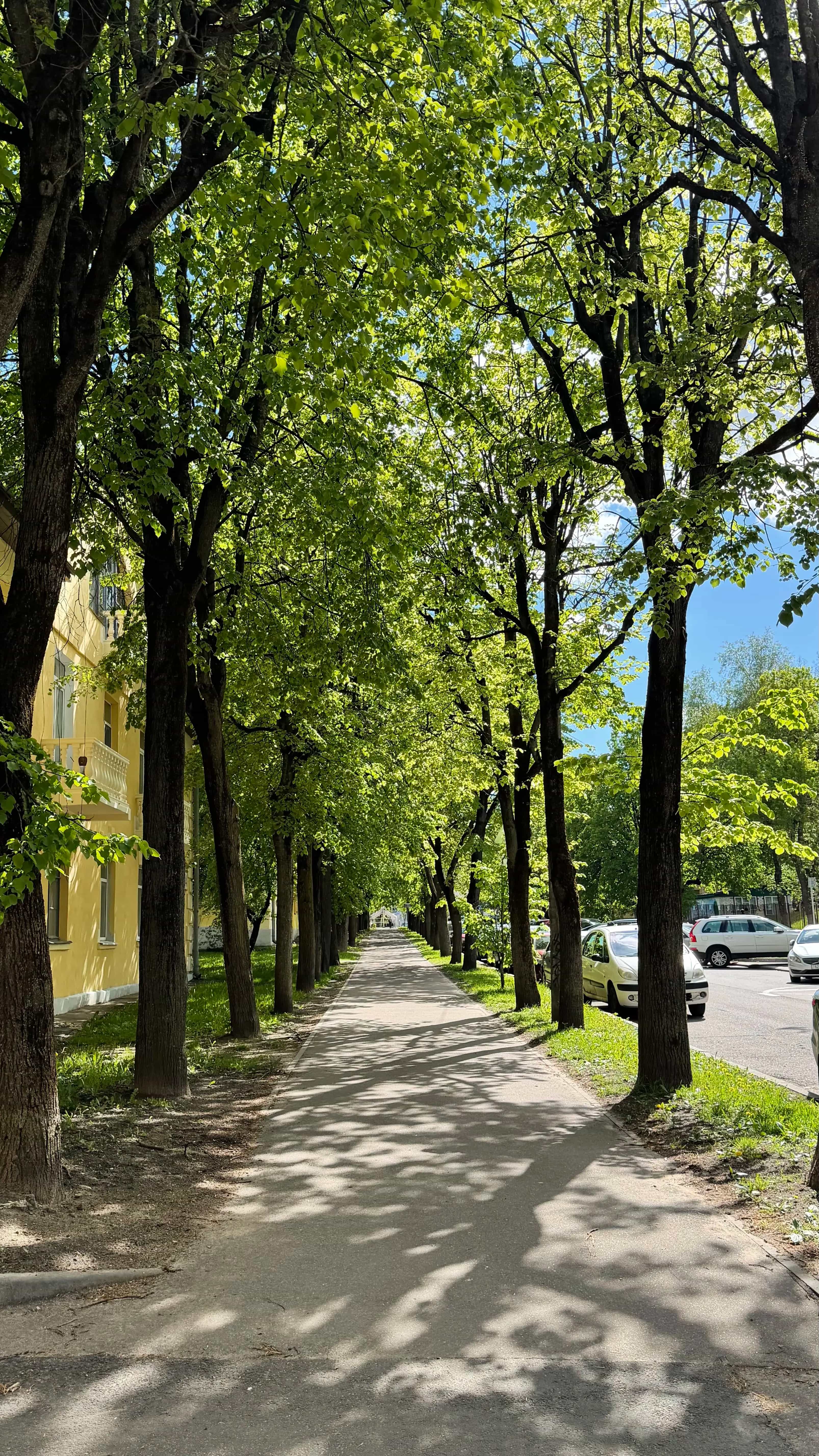 Беларусь, Минск, улица Киселёва, 33, фото 4