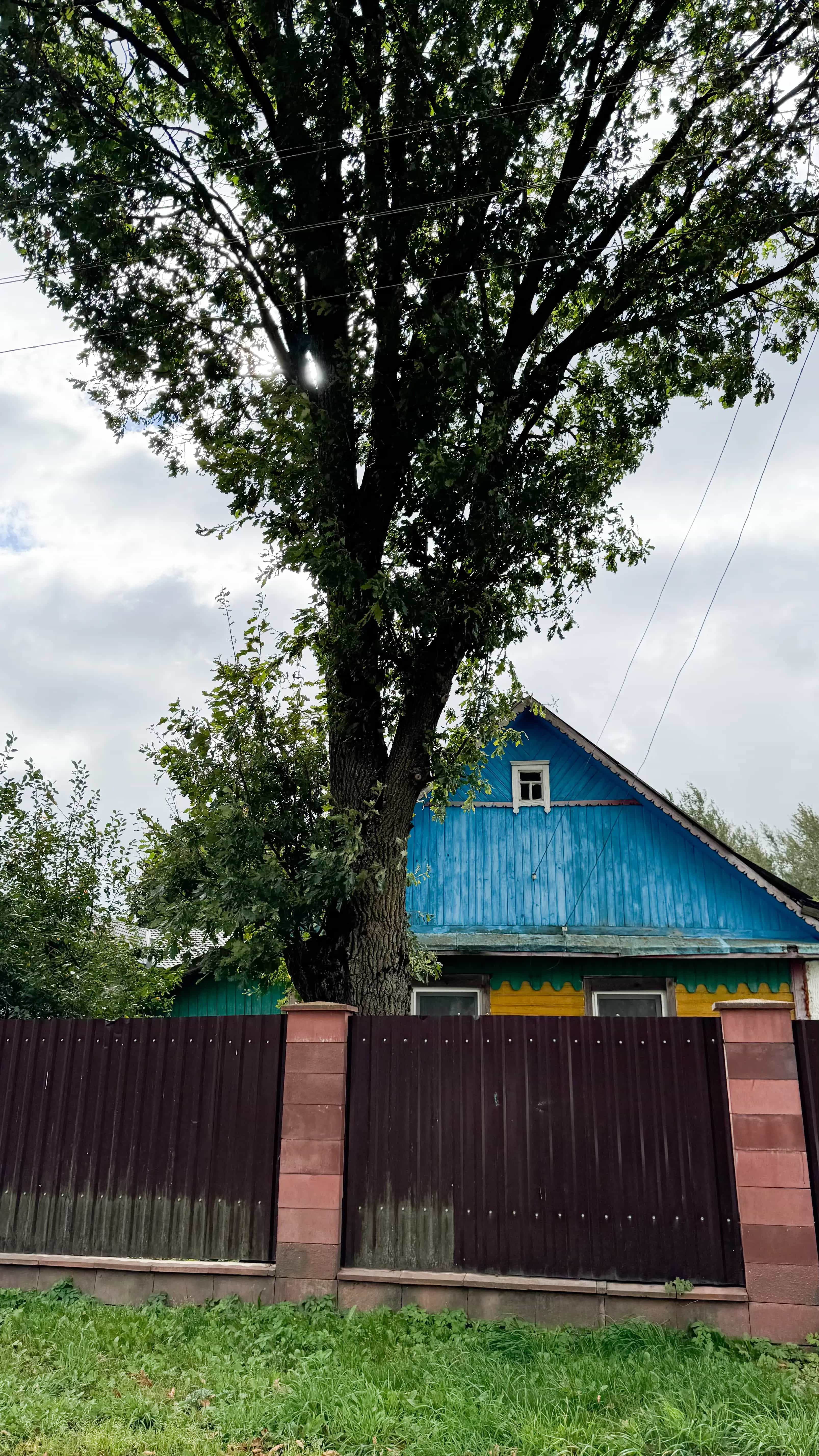 Беларусь, Минская область, Смолевичский район, Заболотский сельсовет, деревня Миколаевичи, Партизанская улица, 85