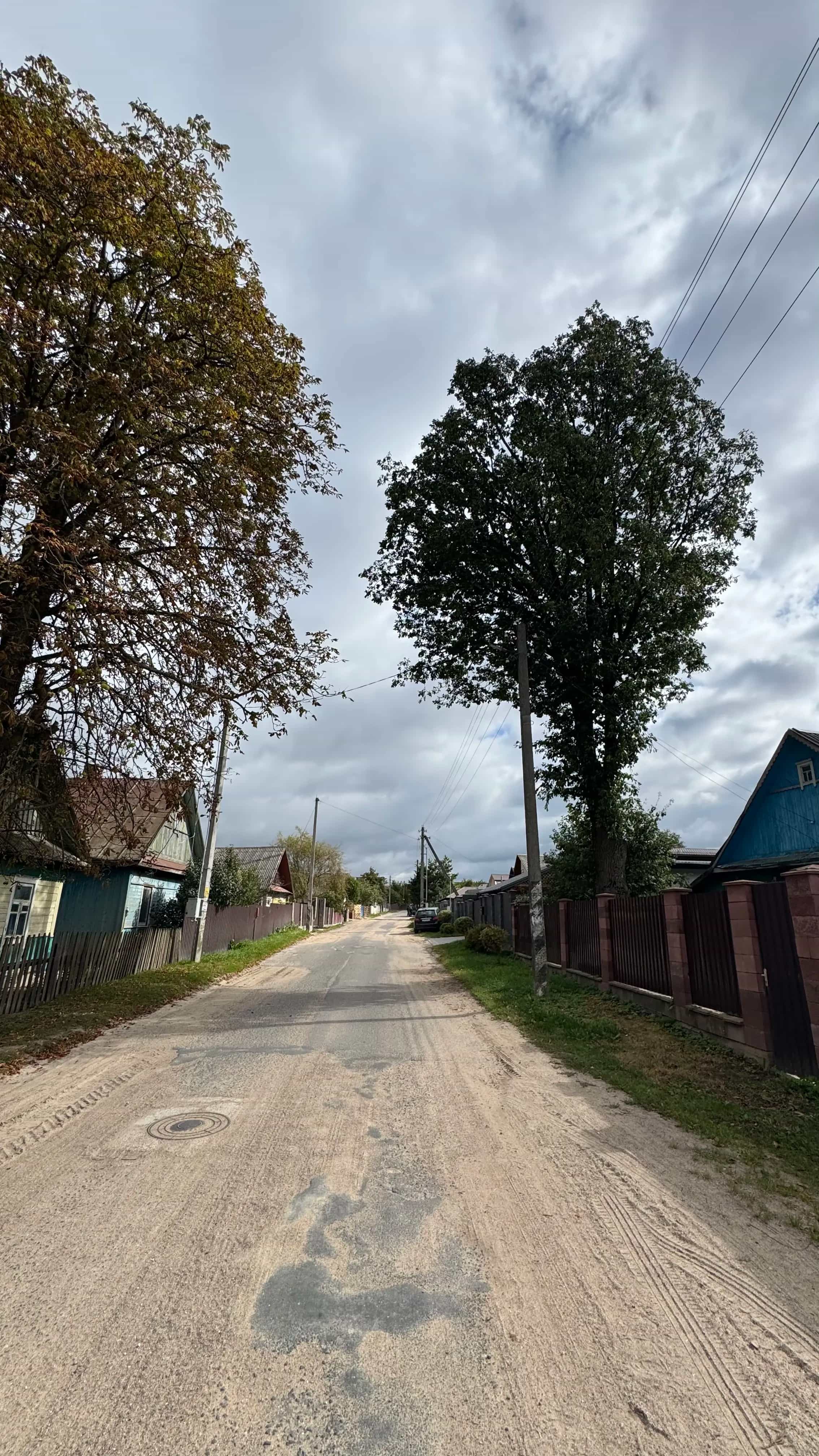 Беларусь, Минская область, Смолевичский район, Заболотский сельсовет, деревня Миколаевичи, Партизанская улица, 85, фото 14