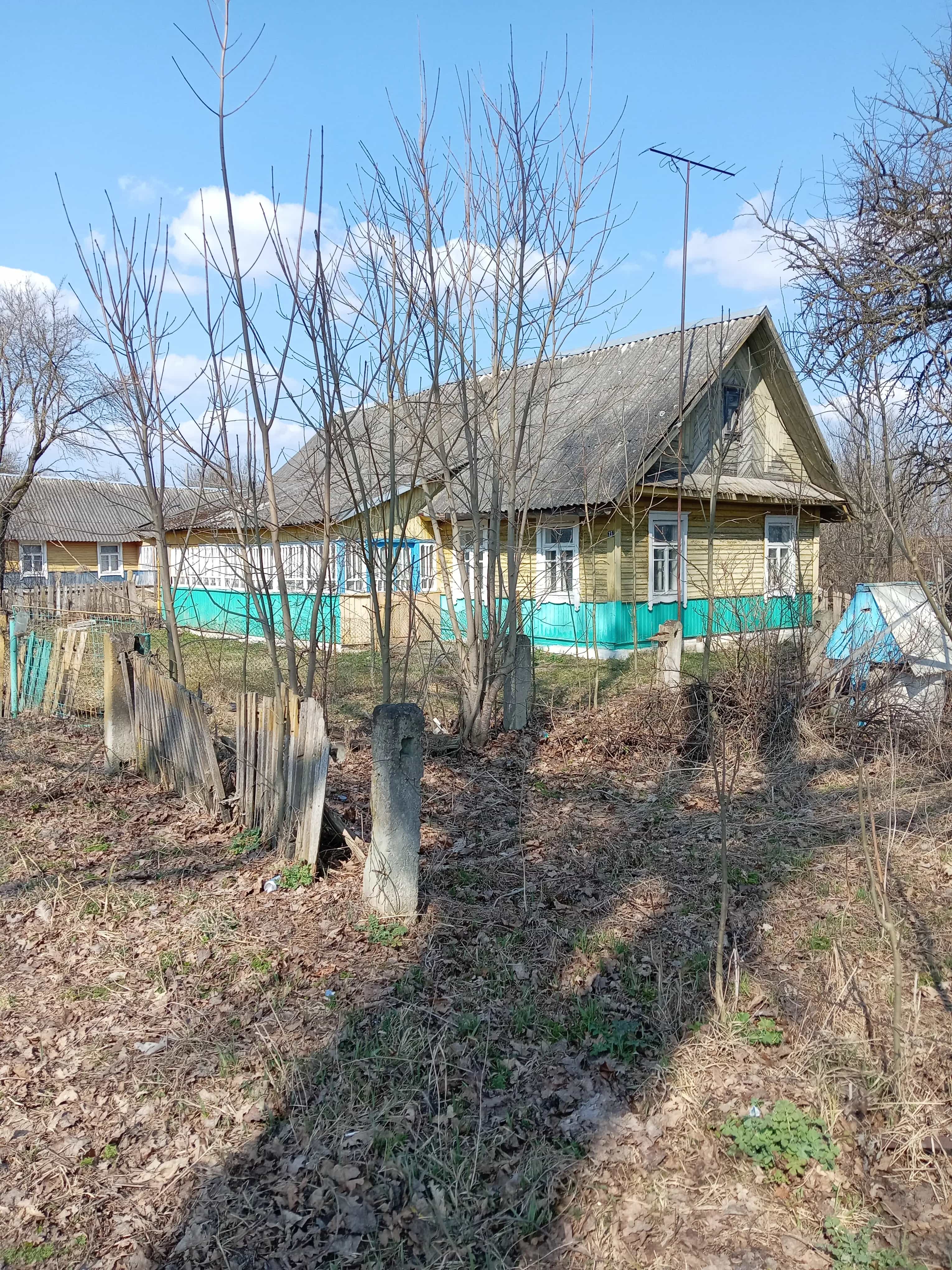 Беларусь, Гродненская область, Дятловский сельсовет, деревня Пенчицы, 41, фото 2