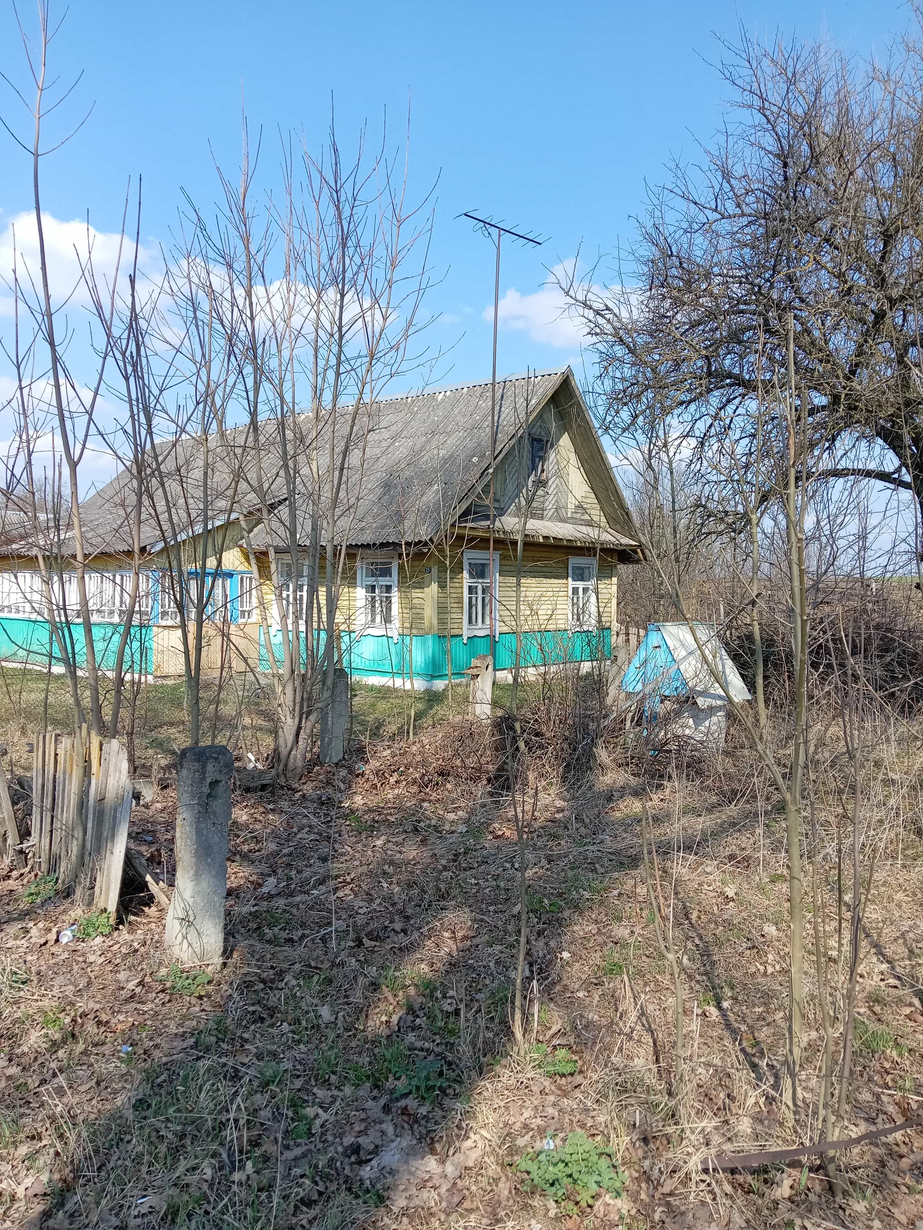 Беларусь, Гродненская область, Дятловский сельсовет, деревня Пенчицы, 41, фото 3