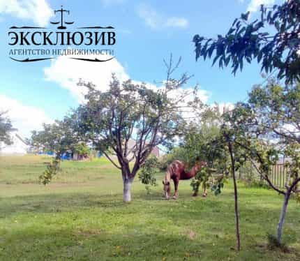 Беларусь, Минская область, Столбцовский район, агрогородок Заямное, улица Якуба Коласа, 8, фото 11