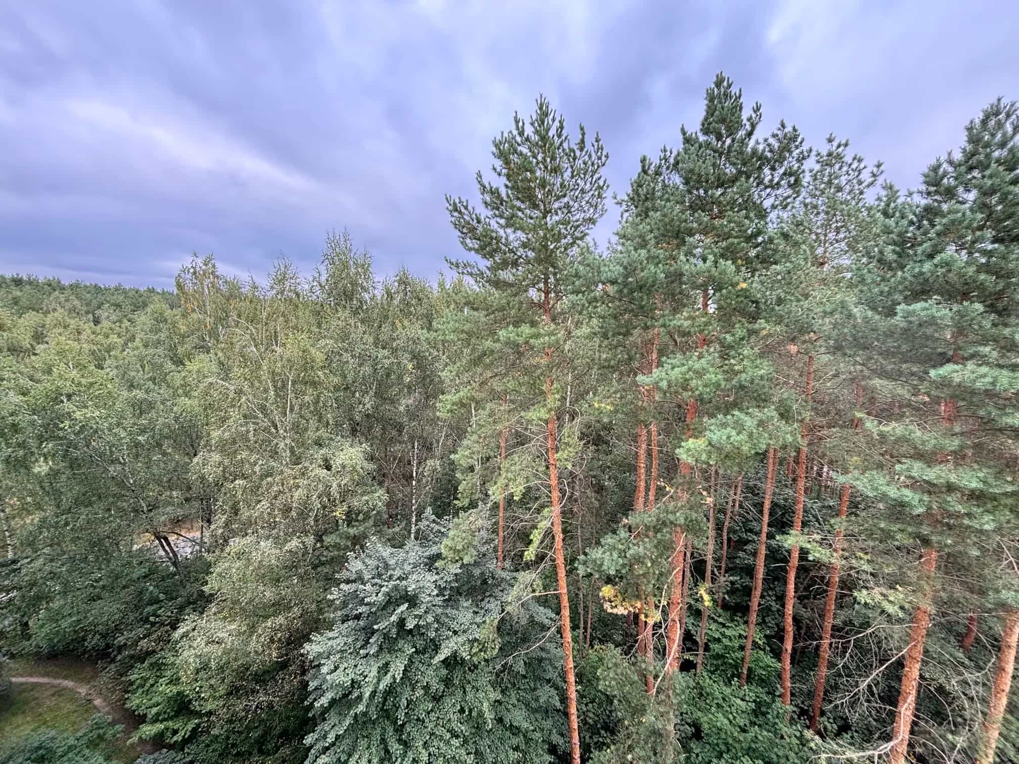 Беларусь, Минск, улица Тикоцкого, 50к1, фото 13