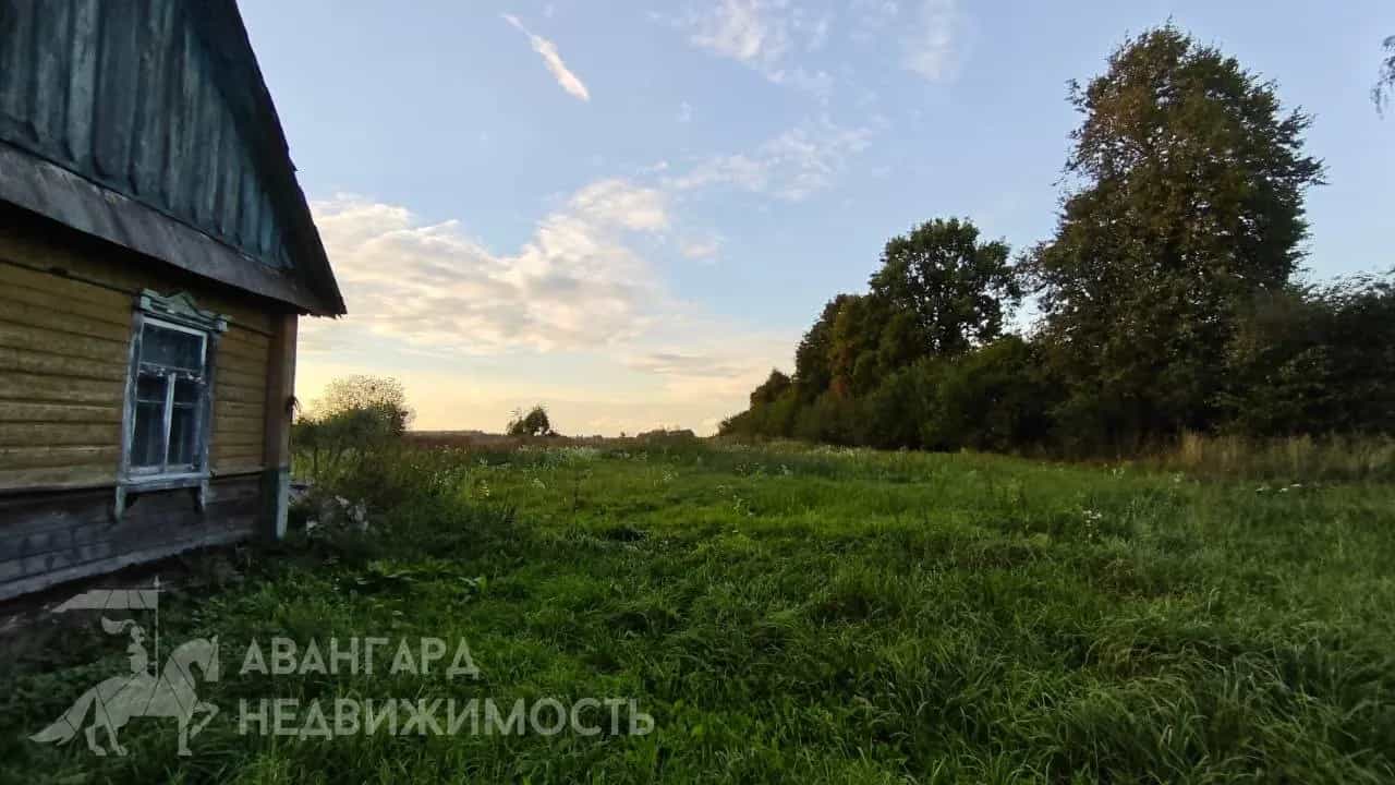 Беларусь, Минская область, Дзержинский район, Добринёвский сельсовет, деревня Калинино, Центральная улица, 9, фото 2
