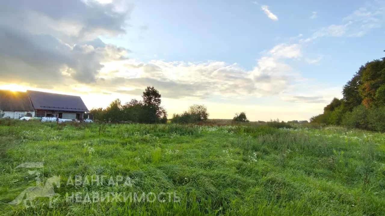 Беларусь, Минская область, Дзержинский район, Добринёвский сельсовет, деревня Калинино, Центральная улица, 9, фото 4