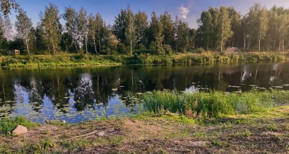 Беларусь, Брестская область, Дрогичинский район, Осовецкий сельсовет, деревня Белинок, Набережная улица, 7, фото 3