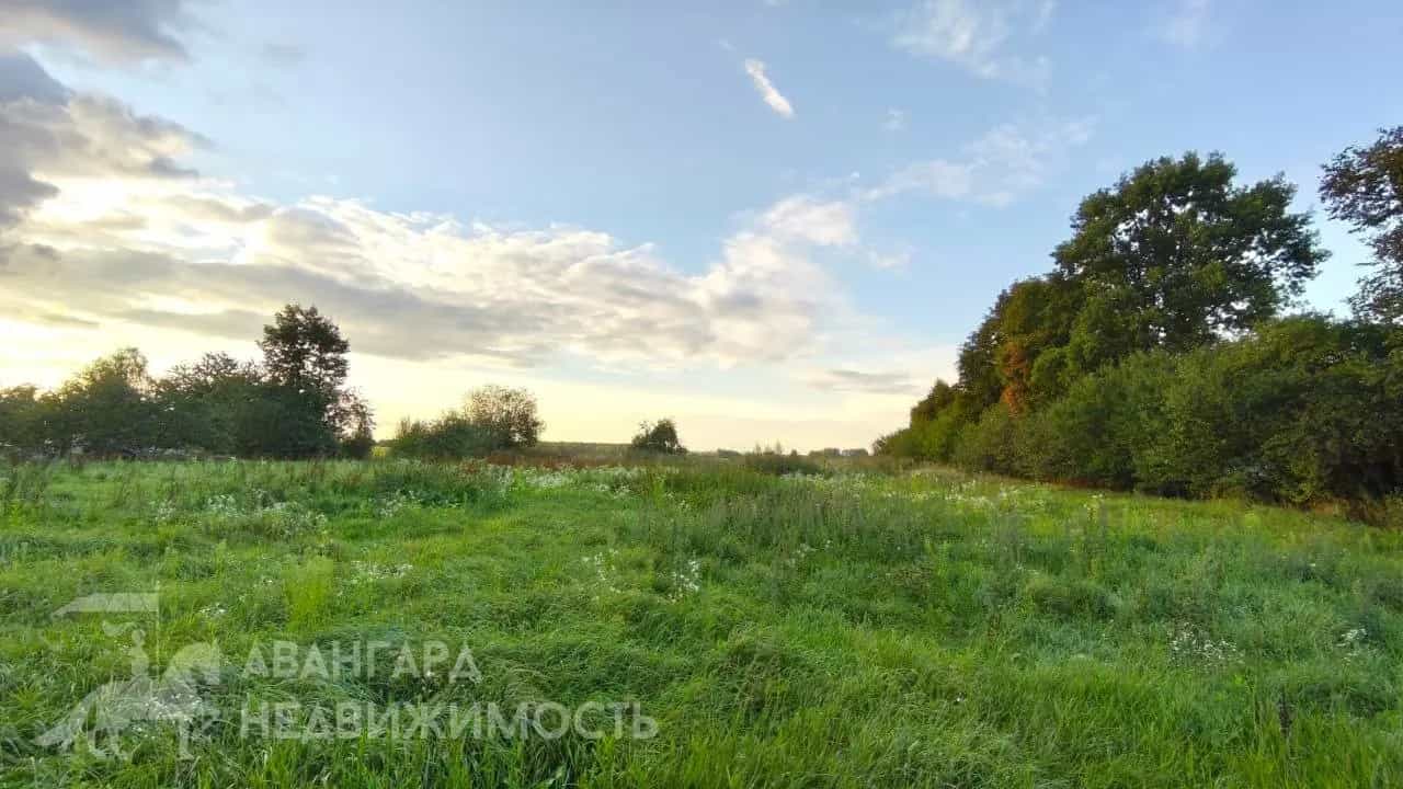 Беларусь, Минская область, Дзержинский район, Добринёвский сельсовет, деревня Калинино, Центральная улица, 9, фото 3
