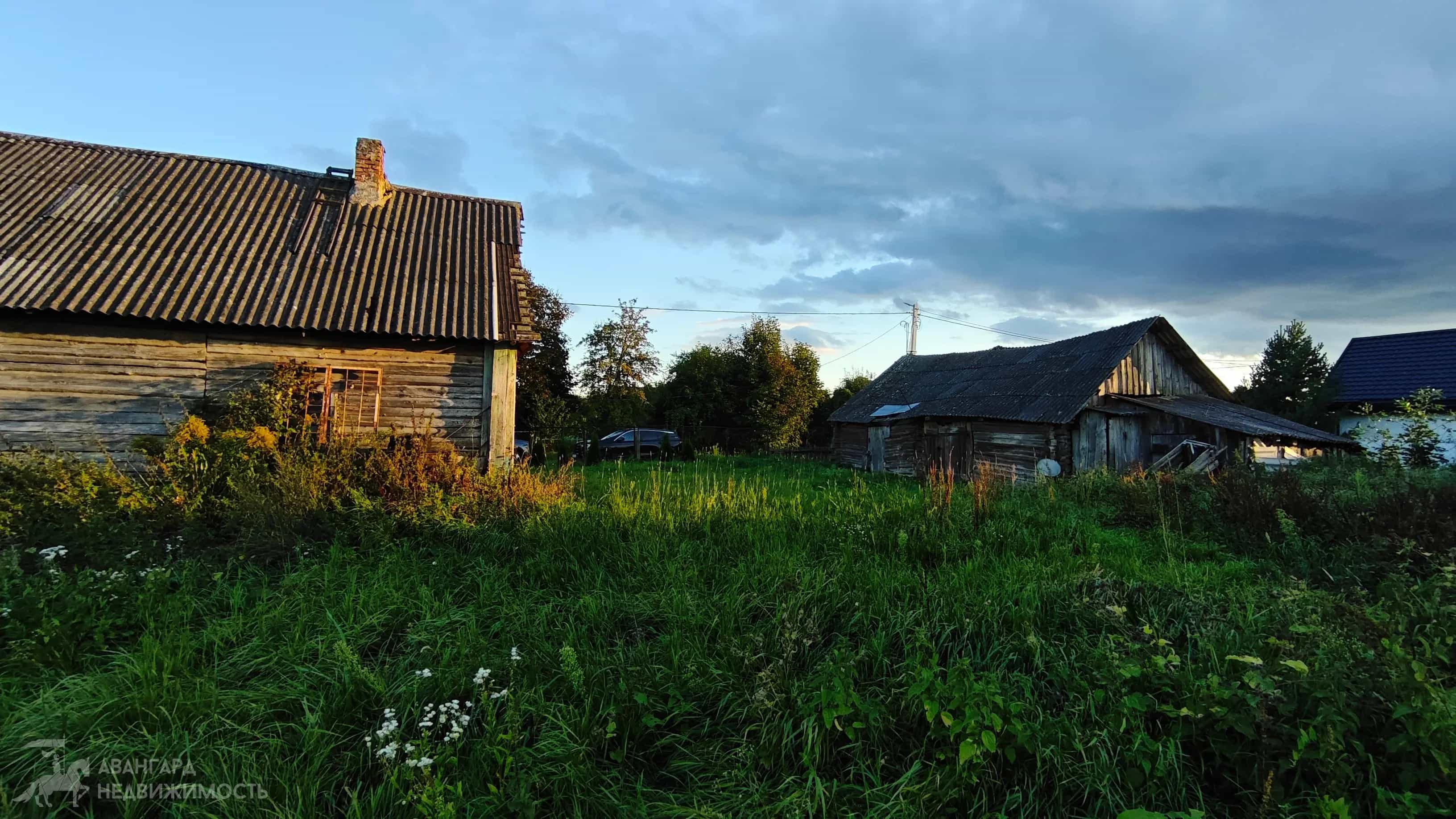 Беларусь, Минская область, Дзержинский район, Добринёвский сельсовет, деревня Калинино, Центральная улица, 9, фото 7