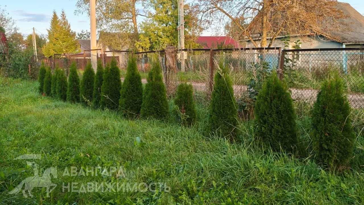 Беларусь, Минская область, Дзержинский район, Добринёвский сельсовет, деревня Калинино, Центральная улица, 9, фото 11