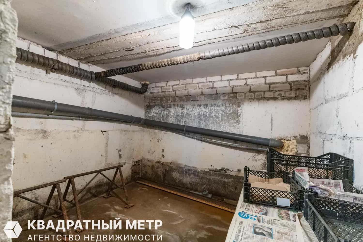 Беларусь, Минская область, Дзержинский район, Демидовичский сельсовет, деревня Буда, Минская улица, 8, фото 43
