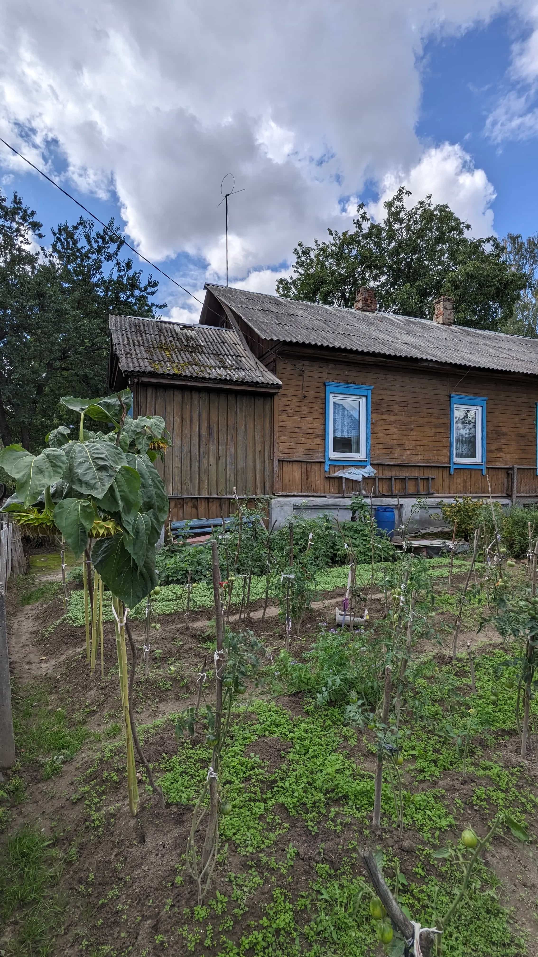 Беларусь, Гомельская область, Мозырь, улица Куйбышева, 31, фото 10