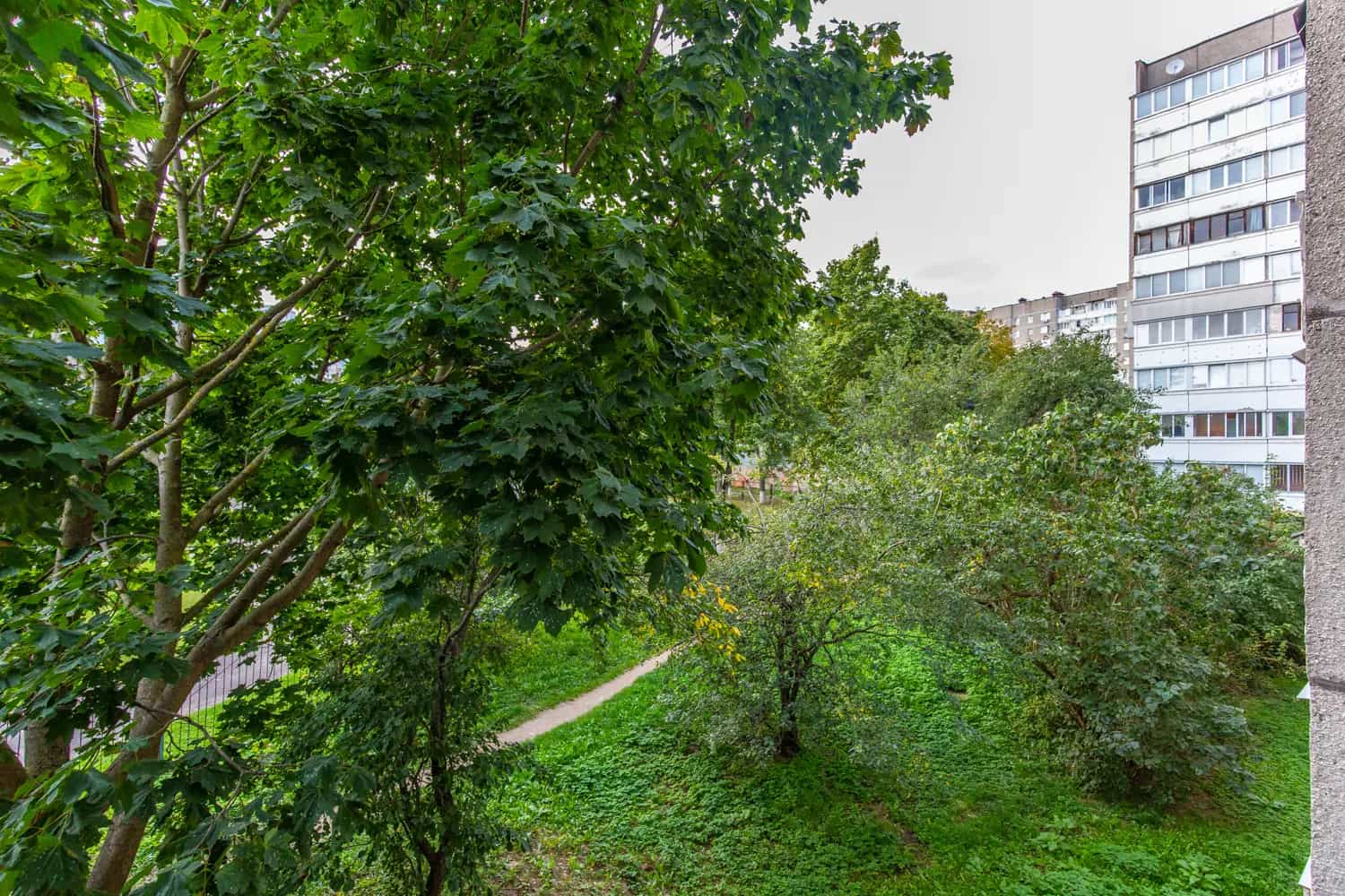 Беларусь, Минск, улица Жуковского, 6к3, фото 9